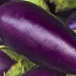 aubergine, eggplant, melanzana, different names for a tasty veg