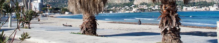 sun, palm trees, a beach and the sea