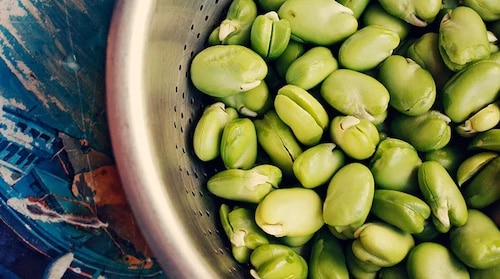 fresh fava beans