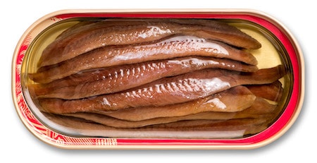 anchovy fillets