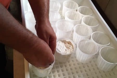 putting ricotta in perforated containter