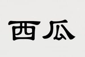 Watermelon in Chinese characters