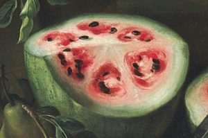 watermelon five hundred years ago