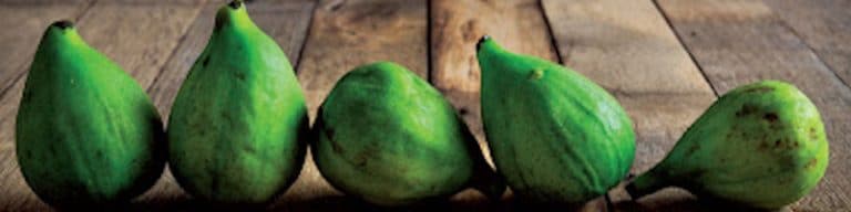 featured image for five things about figs
