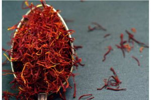 precious saffron, the most expensive among spices