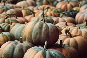 autumn recipes: risotto con zucca