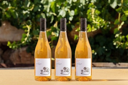 orange wine by Di Giovanna
