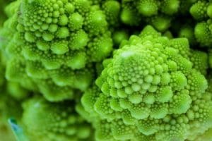 fractal cauliflower