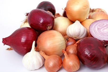 united colours of onions