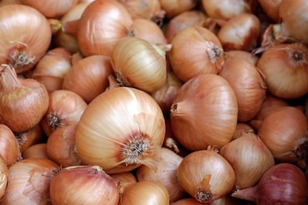 onions are indispensable to make the fabulous sfincione